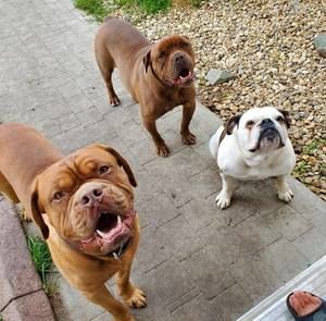 Meet your Posher, Missy-lynn